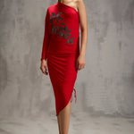 Daisy Siren Cinched Dress Namrata Joshipura