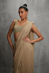 Gleam Draped Saree